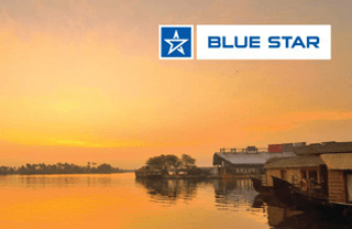 bluestar portfolio
