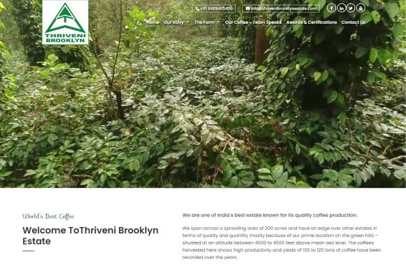 Thriveni Brooklyn Logo