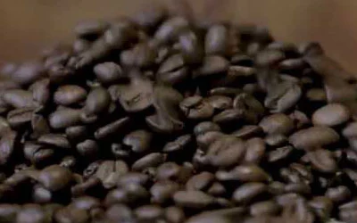 Corporate Video Production Services in Bangalore