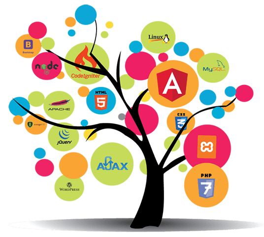 Web Application Development